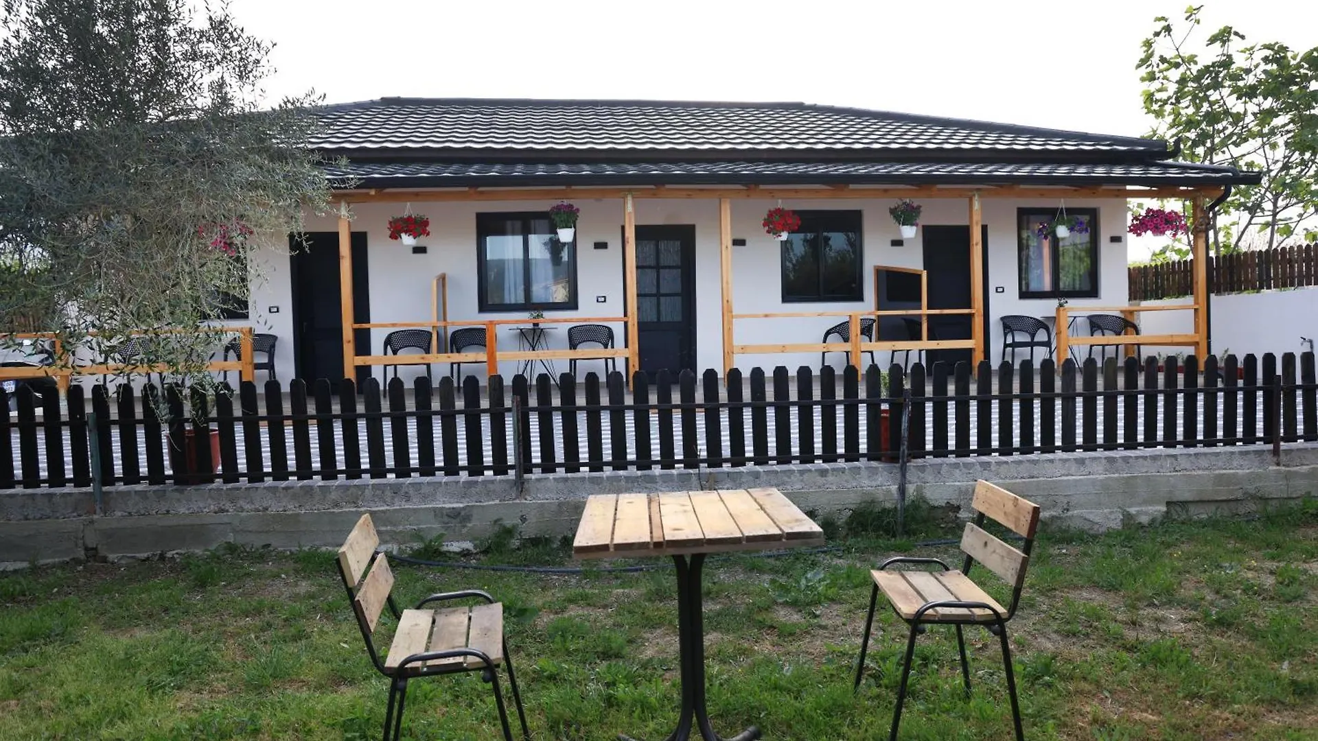 Olive Oasis Studio Berat Apartment