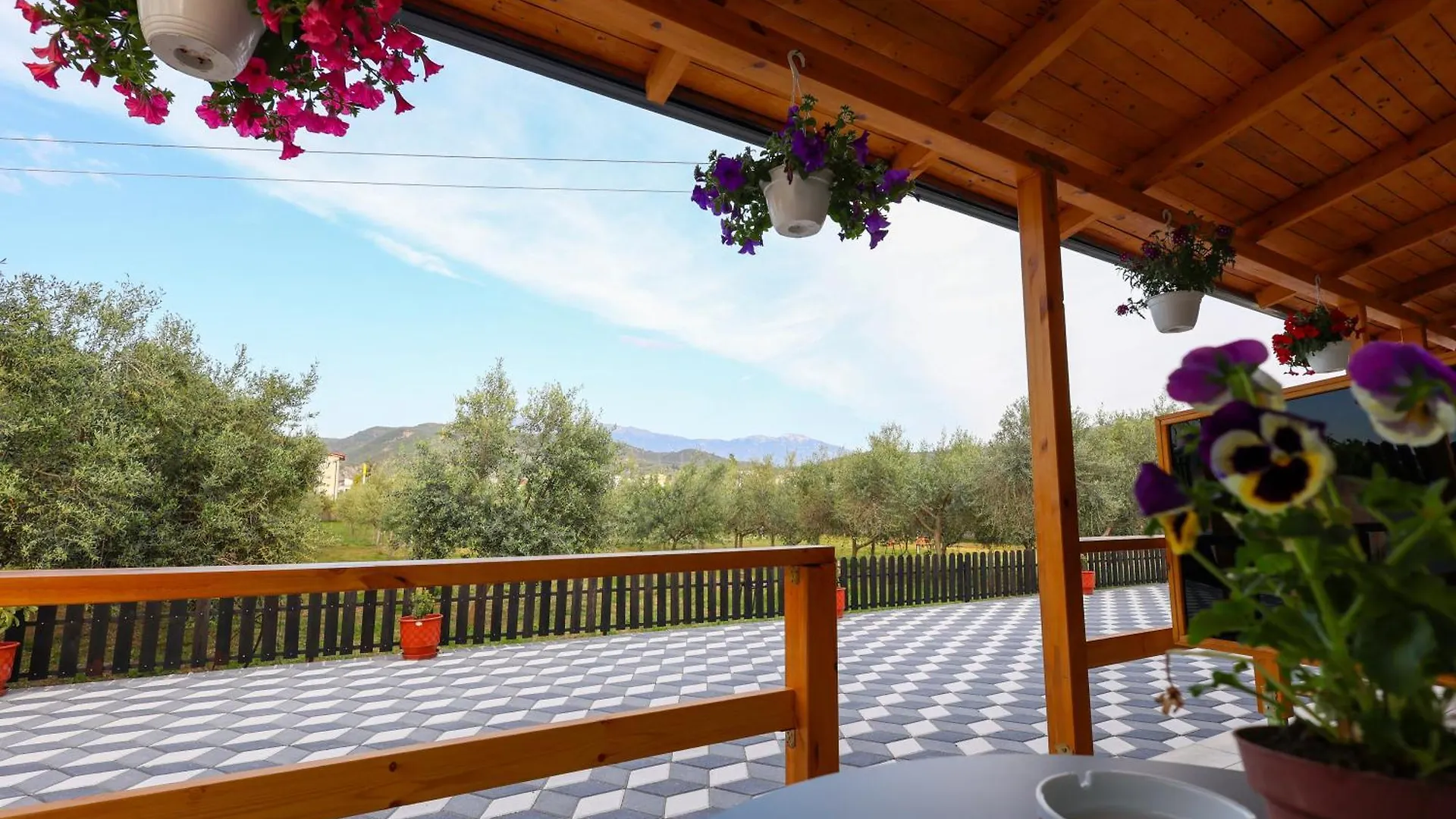Olive Oasis Studio Berat