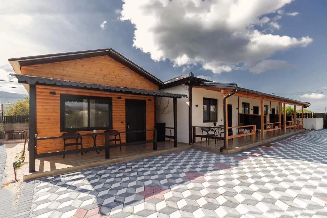 Olive Oasis Studio Berat