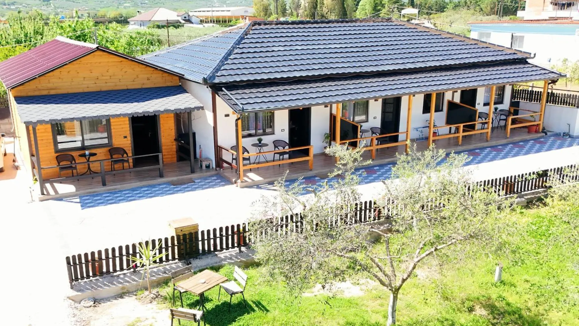 Olive Oasis Studio location